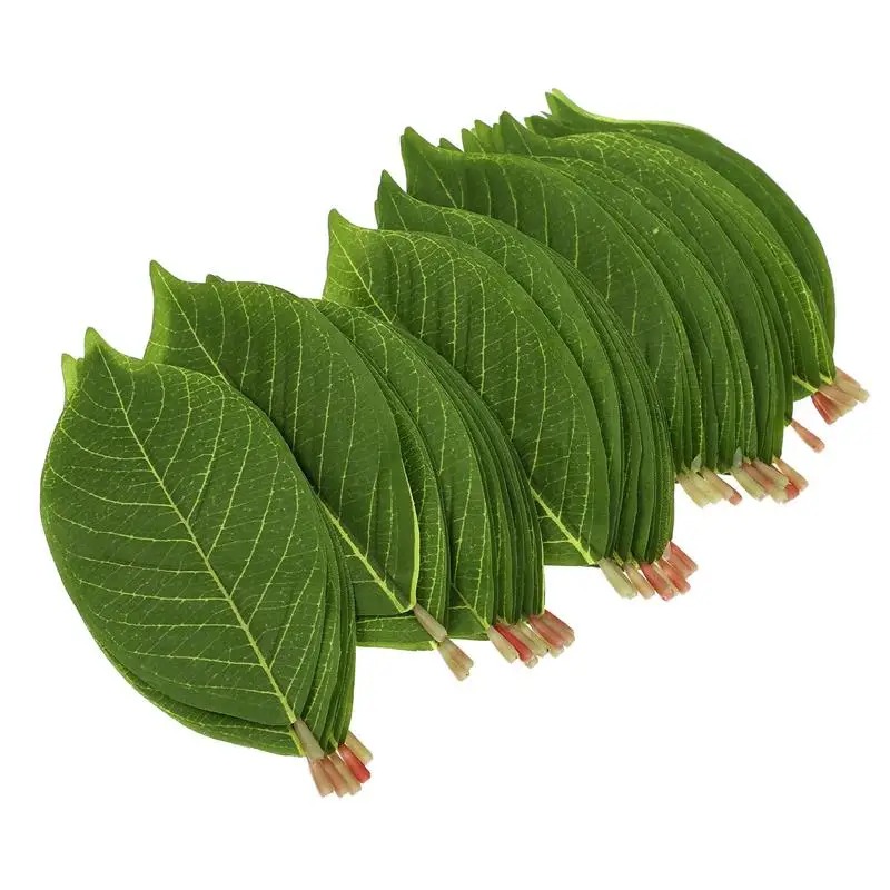 Set Of 20 Artificial Magnolia  - Sphagnum Moss Dry 评论和价格