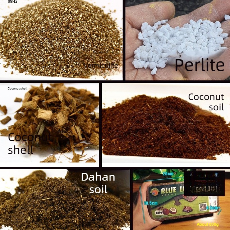 Coconut Soil Brick Reptile Sub - Sphagnum Moss Dry 评论和价格