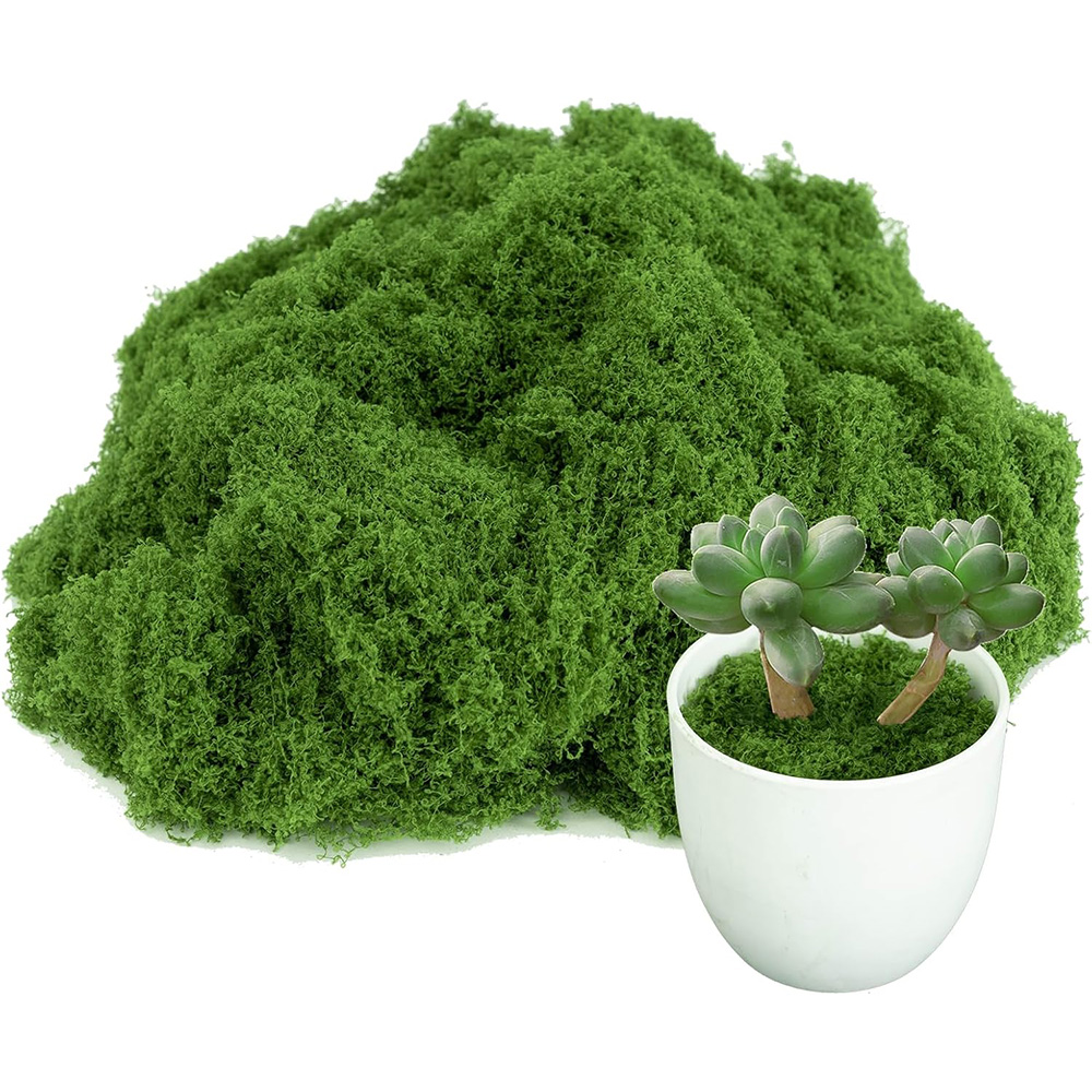 Eternal Life Moss DIY Crafts G - Sphagnum Moss Dry 评论和价格