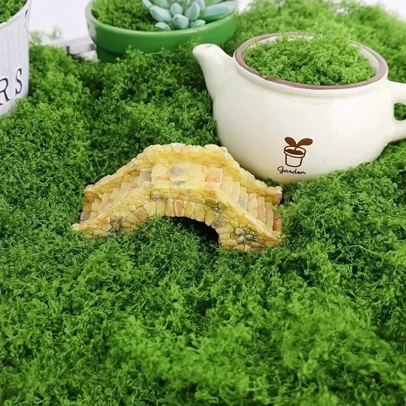 Fake Moss Artificial Green Mos - Sphagnum Moss Dry 评论和价格