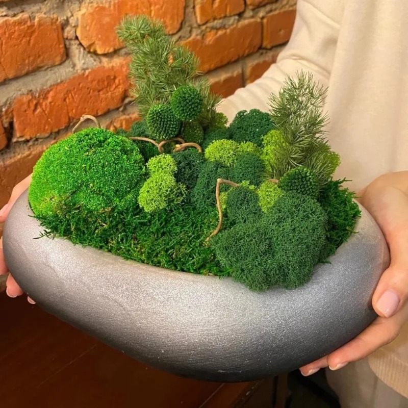 Fake Moss Artificial Green Mos - Sphagnum Moss Dry 评论和价格