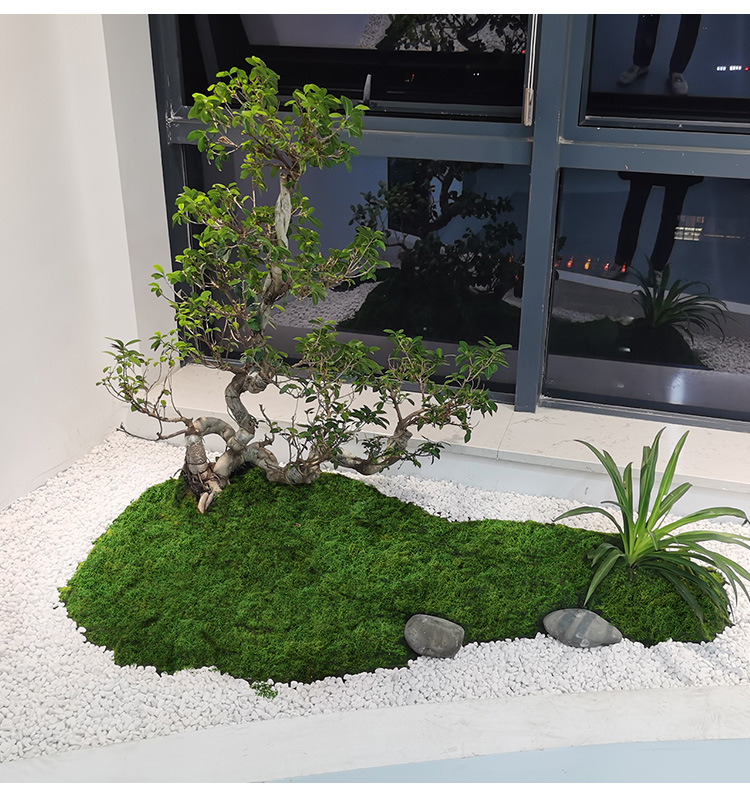 Artificial moss filaments moss - Sphagnum Moss Dry 评论和价格