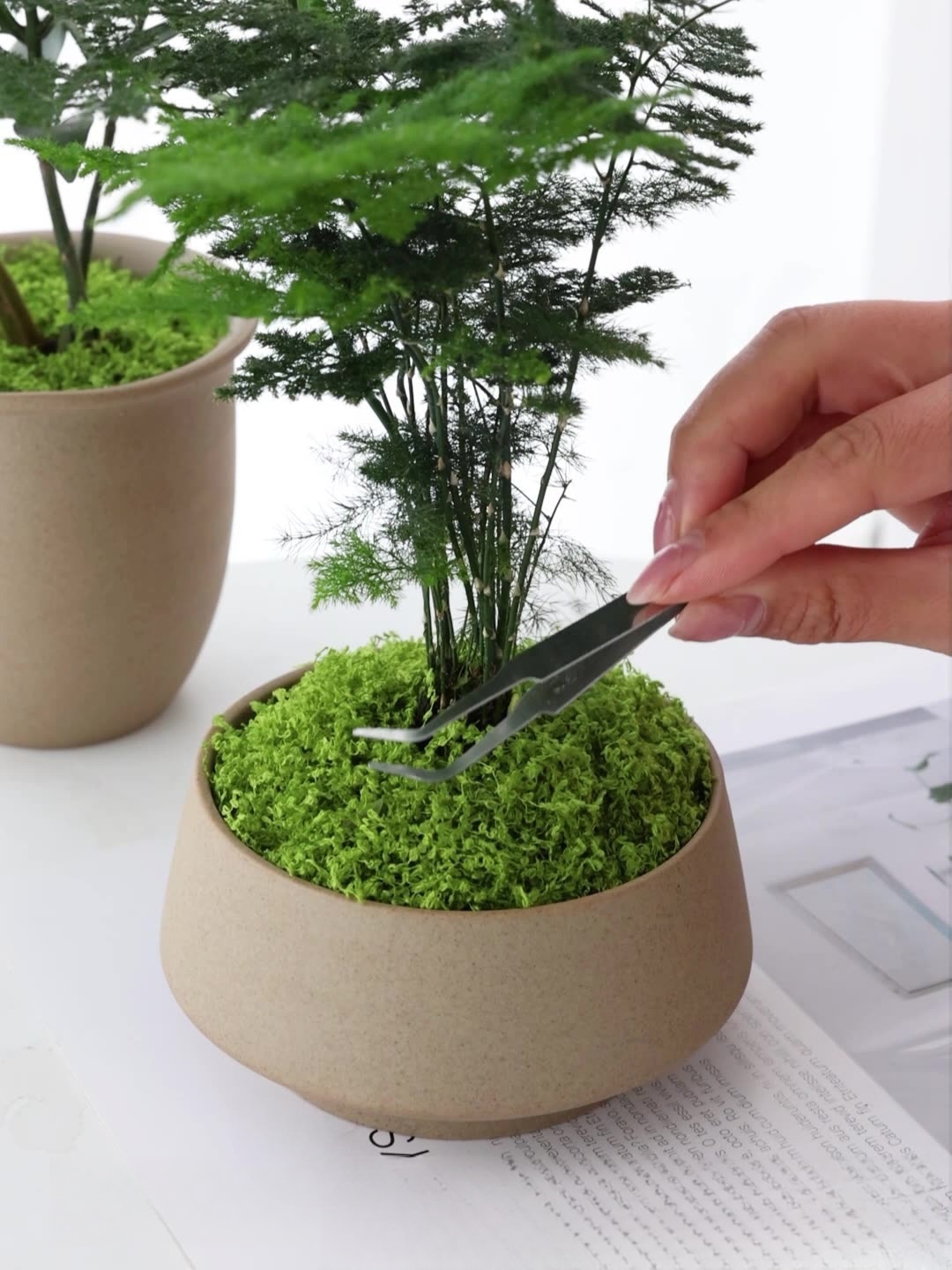 Artificial moss filaments moss - Sphagnum Moss Dry 评论和价格