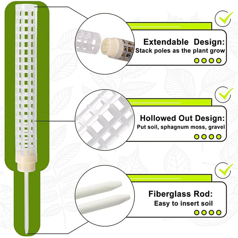 Plastics Moss Pole Plastics St - Sphagnum Moss Dry 评论和价格