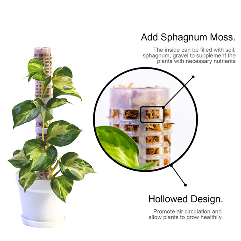 Plastics Moss Pole Plastics St - Sphagnum Moss Dry 评论和价格